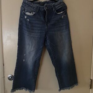 Judy Blue Dark Blue Cropped Frayed-Hem Jeans